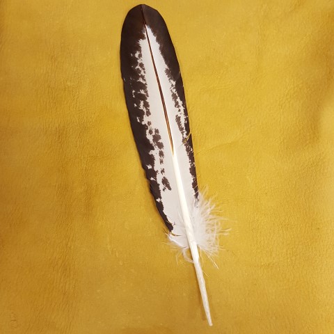 Hand-Painted Feathers